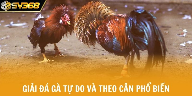 Hai giải đá gà tự do và theo cần phổ biến